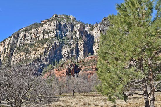 Call Of The Canyon Picnic Site