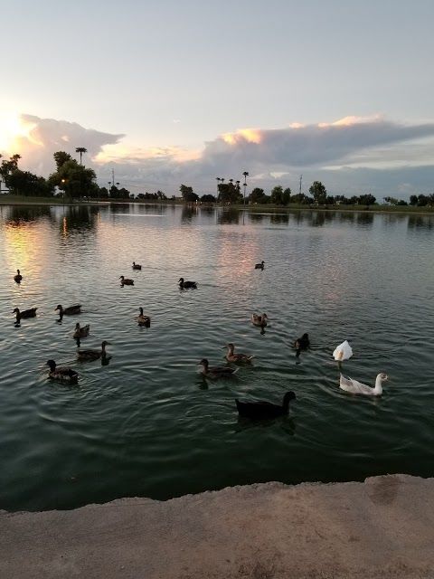 Cesar Chavez Park