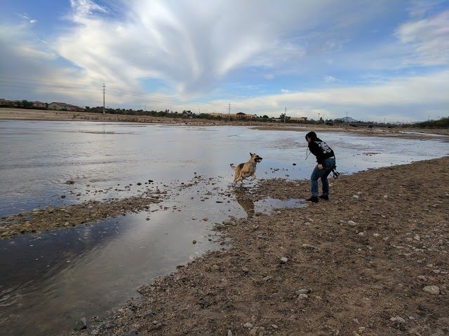 Rillito River Park