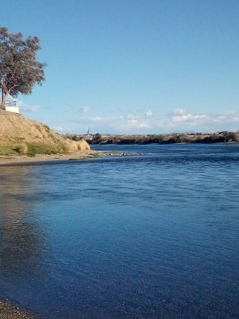 Rotary Park
