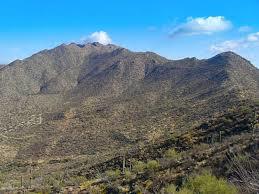 Wasson Peak