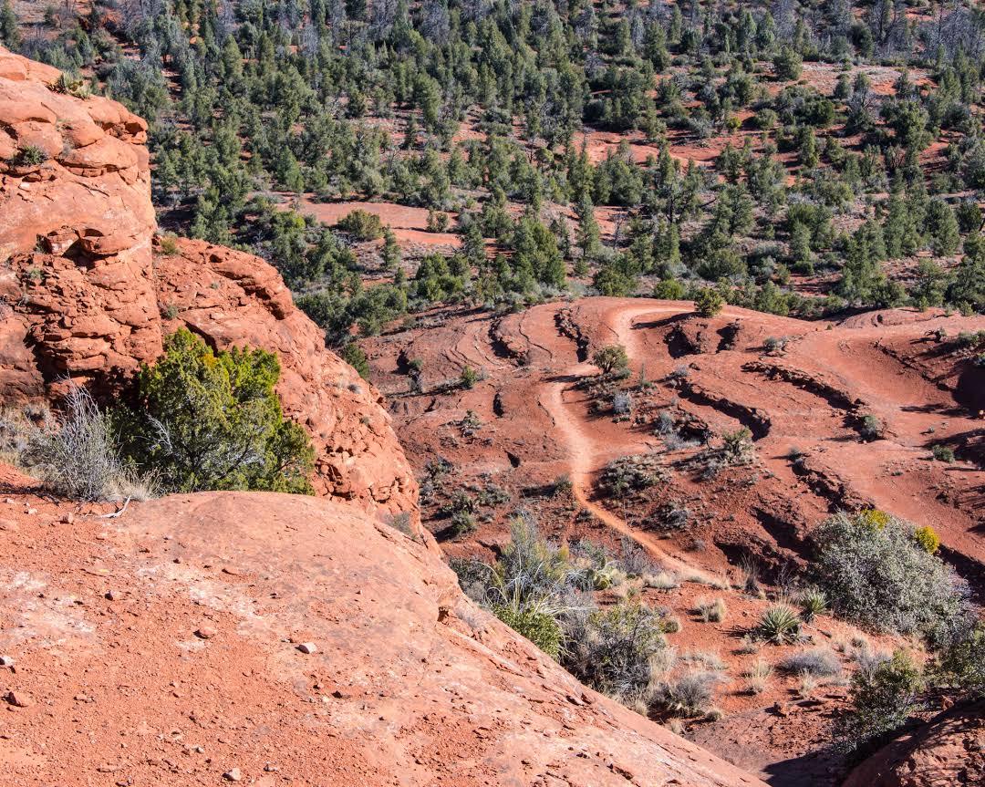 Cathedral Rock Trail
