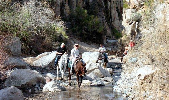 Windwalker Expeditions