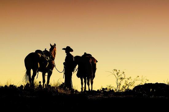 M Diamond Ranch