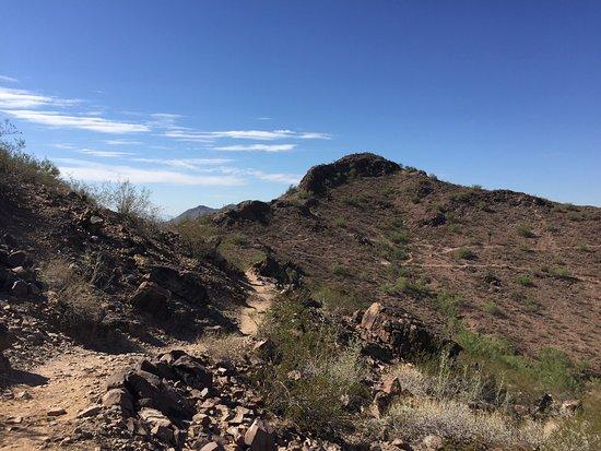 Lookout Mountain Preserve