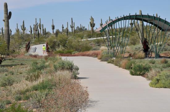 Apache Wash Trailhead