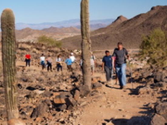 HIke In Tucson
