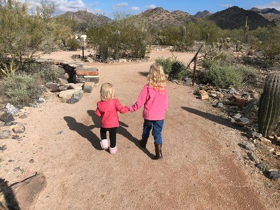 The Bajada Nature Trail