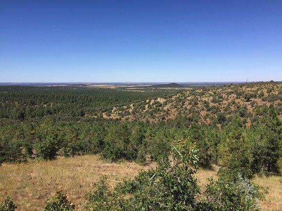 Panorama Trail