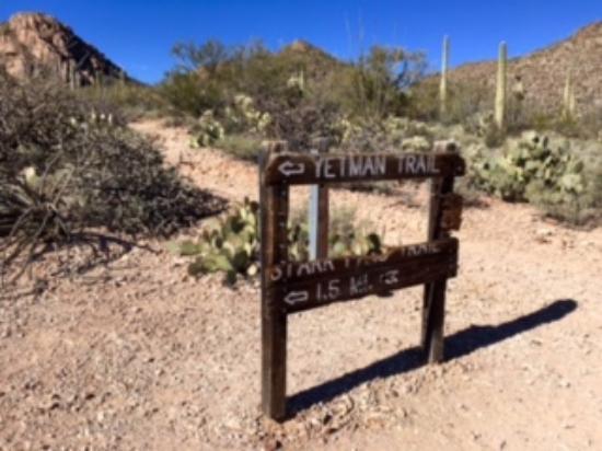 David Yetman Trail