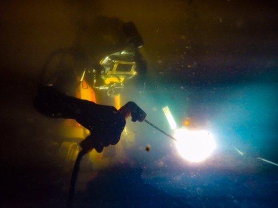 Tiburon Dive Adventures