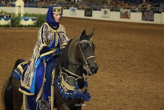 Scottsdale Arabian Horse Show