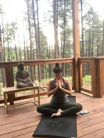 Bird Dog Yoga