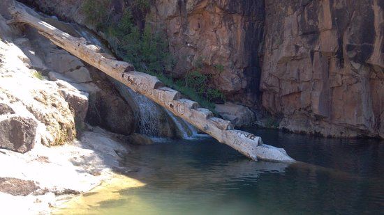 Ellison Creek Waterfall