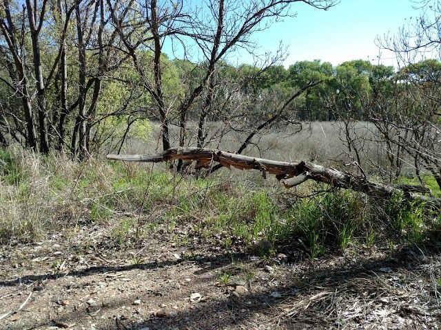 Jail Trail