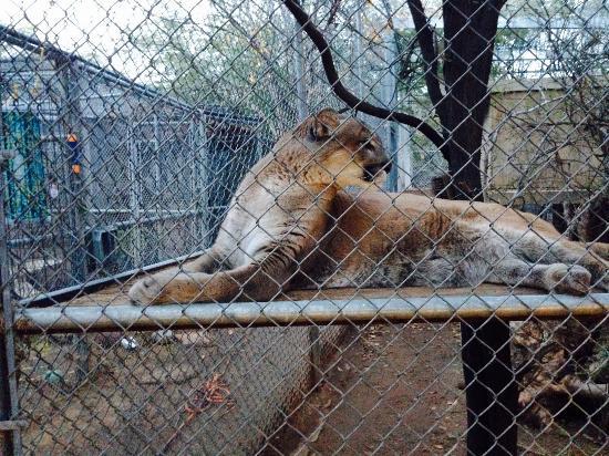 Southwest Wildlife Conservation Center