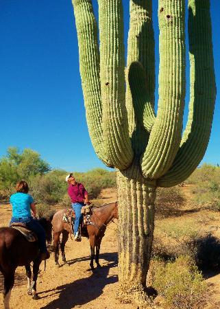 Arizona Cowboy College