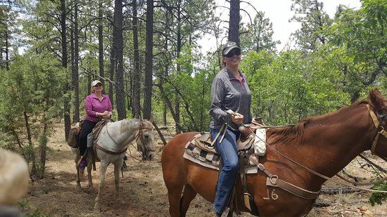 Porter Mountain Stables