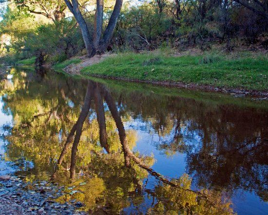 San Pedro Riparian National Conservation Area