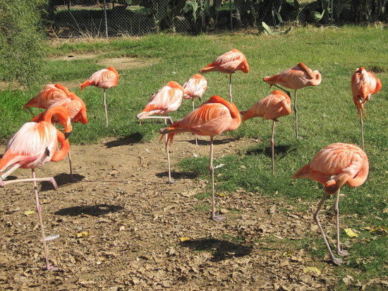 Wildlife World Zoo and Aquarium